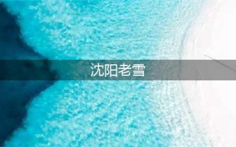 沈阳老雪丨一瓶啤酒与一座城市的羁绊！(沈阳老雪)