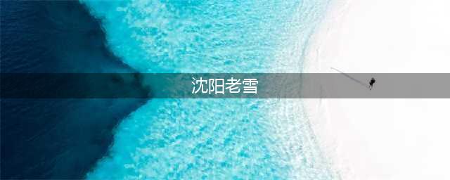 沈阳老雪丨一瓶啤酒与一座城市的羁绊！(沈阳老雪)