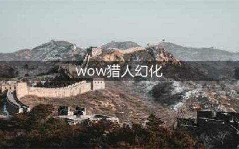 《魔兽世界》猎人幻化 猎人幻化推荐