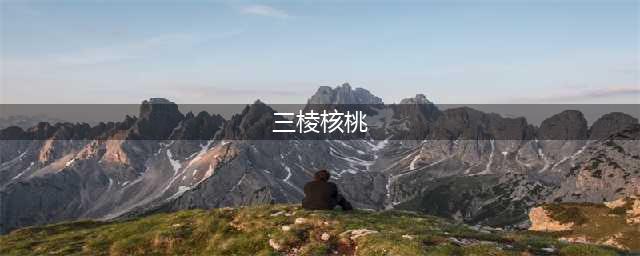 玩了好几年的三棱核桃，竟然发现是拼接的...(三棱核桃)