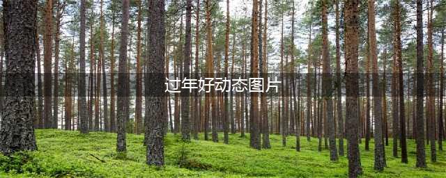 大年初一早上好动态表情图片大全，祝大家万事如意春节快乐(过年好动态图片)