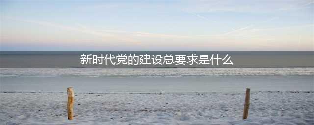 新时代党的建设总要求是什么？(新时代党的建设总要求是什么)