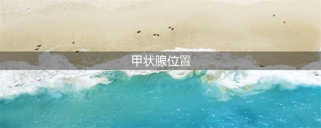 甲状腺--你摸对了吗？(甲状腺位置)