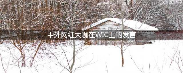乌镇论道 这些中外网红大咖的声音发人深思(中外网红大咖在WIC上的发言)