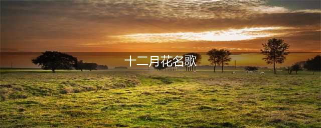 和孩子一起读十二月花名歌，新的一年，新的养花生活~(十二月花名歌)