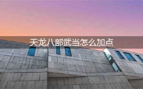 《新天龙八部》手游武当属性怎么点 武当属性加点方式分享(天龙八部武当怎么加点)