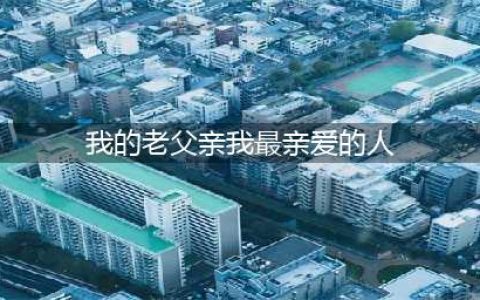 我的老父亲，我最亲爱的人(我的老父亲我最亲爱的人)