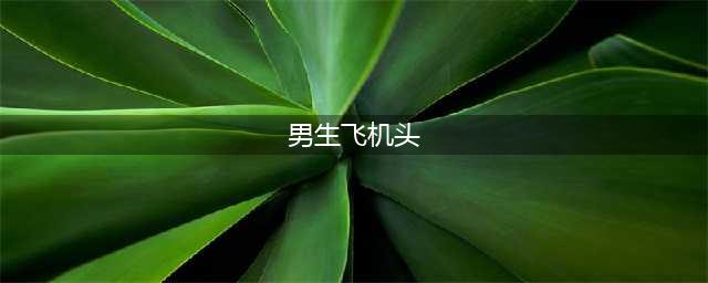 各型各款的男士飞机头发型图片精选(男生飞机头)