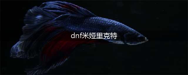 《DNF》米娅里克特在哪 米娅里克特位置介绍(dnf米娅里克特)