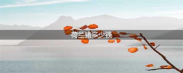 为什么养了荷兰猪之后，都说后悔？(荷兰猪多少钱)