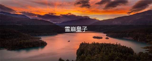 斗罗大陆：雪崩的形象即将反转，四皇子将继承皇位，获得海神的援助(雪崩皇子)