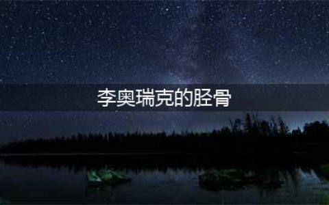 《暗黑破坏神3》李奥瑞克的胫骨在哪 李奥瑞克的胫骨位置介绍