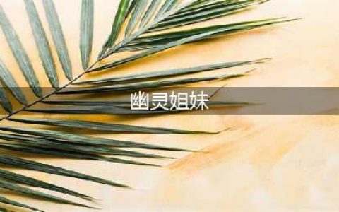 少女前线双联乱数幽灵姐妹怎么打 双联乱数幽灵姐妹通关攻略(幽灵姐妹)