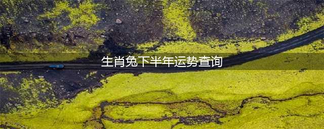 属兔的下半年的运气 属兔人下半年月份运势(生肖兔下半年运势查询)