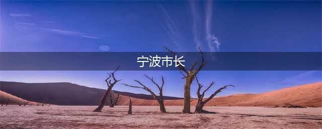 汤飞帆当选宁波市市长(宁波市长)