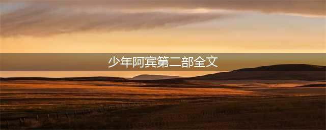 教育故事：​少年阿宾(少年阿宾第二部全文)