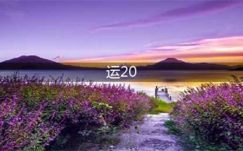 实力对比才知道，运20能力怎么样？看到伊尔76就明白了(运20)