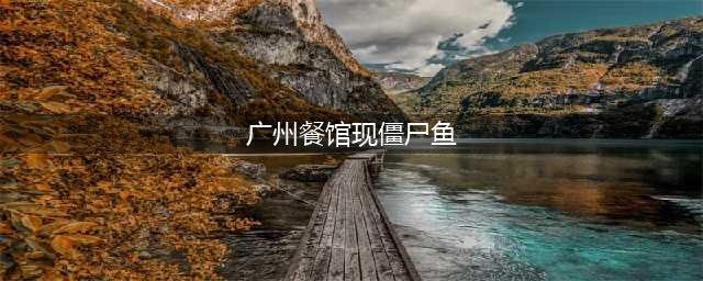 广州餐馆现僵尸鱼：煮熟后仍抽动 网友：少见多怪(广州餐馆现僵尸鱼)