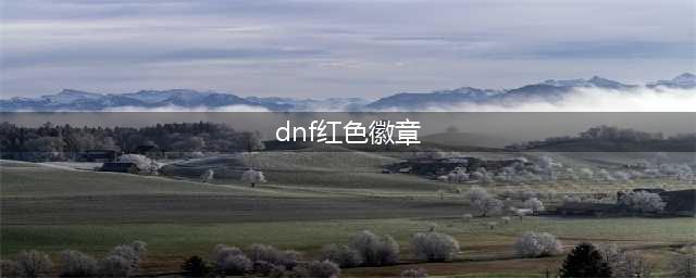 dnf红色徽章镶嵌部位一览 红色徽章打在哪