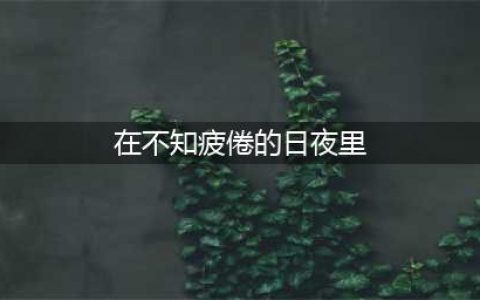 《哈利波特魔法觉醒》在不知疲倦的日夜里位置在哪里