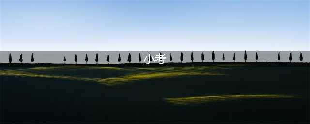 小升初“小考”的前世今生：走在“小考”路上的家长，你不觉得背心发凉吗？(小考)