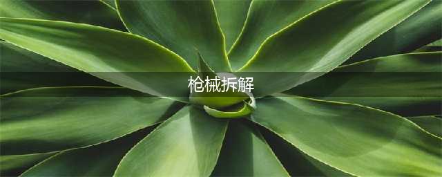 《和平精英》枪械拆解功能玩法说明 枪械拆解功能怎么玩