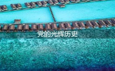 党的光辉历程(党的光辉历史)