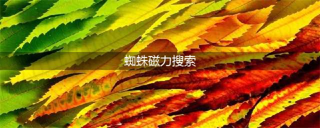 蜘蛛磁力搜索引擎的全解析(蜘蛛磁力搜索)