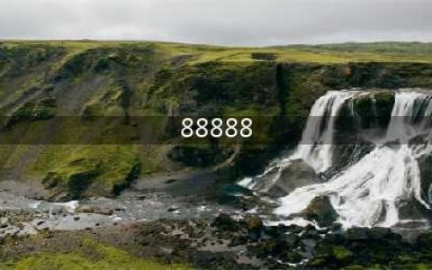 浙C·88888：从疯狂到没落，中国最贵车牌的魔咒(88888)