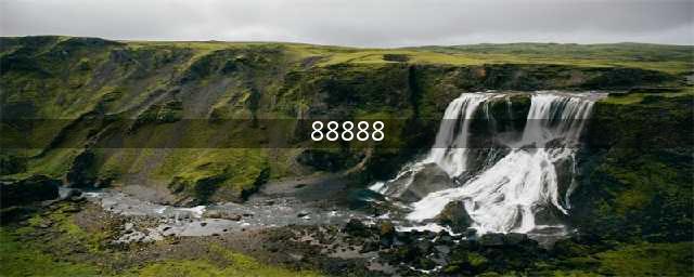 浙C·88888：从疯狂到没落，中国最贵车牌的魔咒(88888)