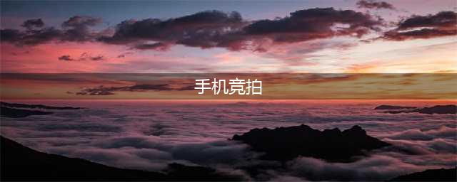 “估价124元法拍手机被拍出22.6万”续：竞得者未付尾款，系恶意竞拍(手机竞拍)