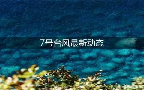 7号台风最新动态，我国南部风力可达9～10级、阵风11～12级(7号台风最新动态)