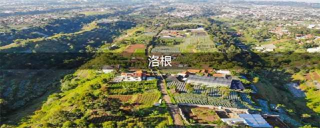 沙石镇时光洛根反叛原因一览 洛根为什么反叛(洛根)