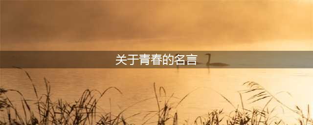 来自人民日报的精选40个金句名言及适用主题(关于青春的名言)