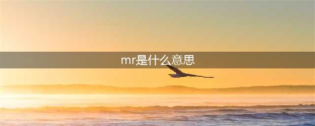 MR是什么概念？(mr是什么意思)