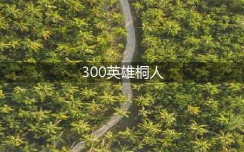 《300英雄》桐人 桐人觉醒加点技能详解
