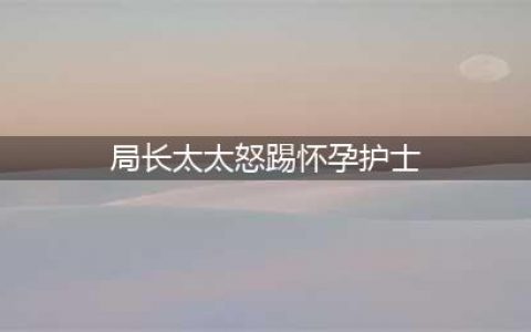 局长太太怒踢怀孕护士 局长：做服务行业就要受得住气(局长太太怒踢怀孕护士)