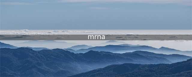 三个方面了解mRNA是什么？(mrna)