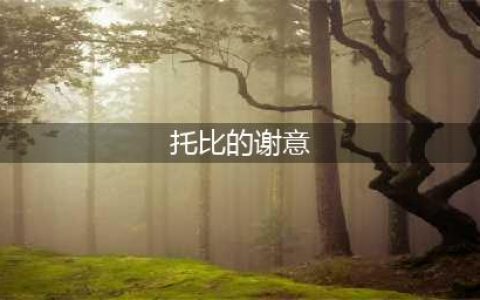 《DNF》托比的谢意活动怎么玩 参与方式以及奖励介绍