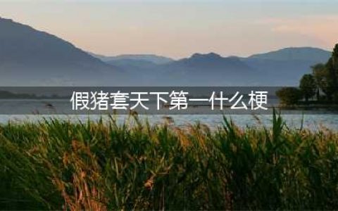 DNF假猪套天下第一什么梗 假猪套天下第一是从哪出来的梗(假猪套天下第一什么梗)