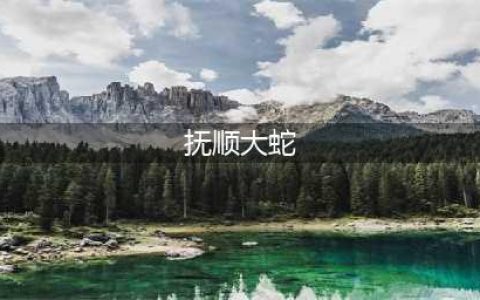 辽宁抚顺大蛇事件，施工队修路竟挖出16米长大蛇，让人情绪失控(抚顺大蛇)