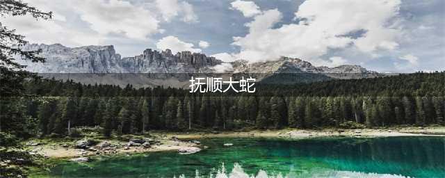 辽宁抚顺大蛇事件，施工队修路竟挖出16米长大蛇，让人情绪失控(抚顺大蛇)