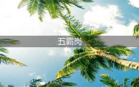 《新笑傲江湖》五霸冈奇遇怎么做 五霸冈奇遇通关攻略(五霸岗)