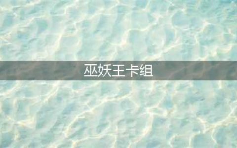 《炉石传说》巫妖王卡组搭配攻略 巫妖王卡组怎么打(巫妖王卡组)