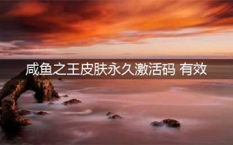 《咸鱼之王》永久皮肤有效激活码分享