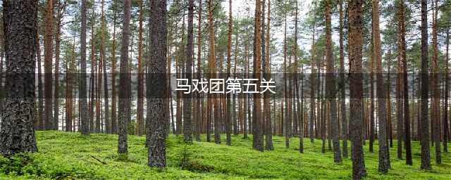《密室逃脱绝境系列11》游乐园马戏团怎么玩 第五关通关技巧(马戏团第五关)