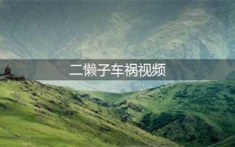 ks网红“二懒子”车祸去世，行车记录仪曝光“遇难”全过程！祁天道徒弟直播遭人猛扇耳光；辰轩父亲现身痛哭感恩天道！(二懒子车祸视频)