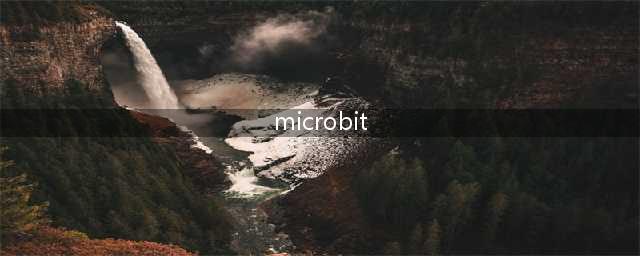 Microbit微型电脑系列一： Microbit简介(microbit)