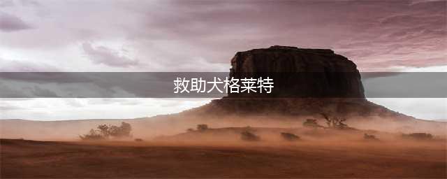 救助犬最后的遗言：“就是要永远保护他”主人听后潸然泪下。(救助犬格莱特)