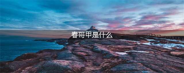 《英雄联盟》春哥甲是什么装备(春哥甲是什么)